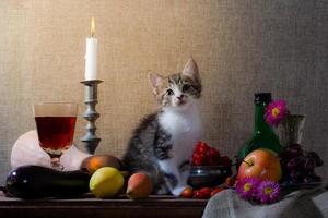 Kitten in still life setting photo