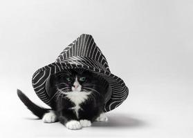 Black and white kitten under a striped hat photo