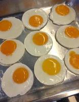 Fried eggs cooking on the container photo