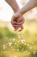 Young loving couple holding hands with each other with a bouquet of dandelions in summer park, view of hands. A pair of hands holding a dandelion