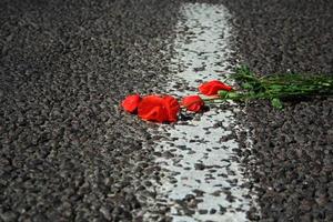 Red poppy lying on the road. The flower of red poppy lying on the asphalt road close up. Selective focus photo