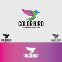 Conjunto de plantillas de vector de diseño de logotipo de pájaro de color