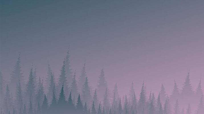 Night Foggy and mist Pine Forest, landscape background, imagination concept design.