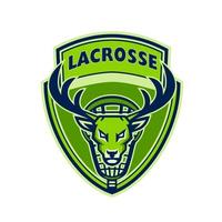 mascota de escudo de lacrosse de cabeza de ciervo vector