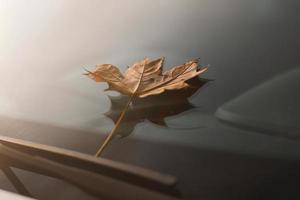 hoja de otoño en el parabrisas de un coche. hoja de arce amarilla sobre vidrio. foto