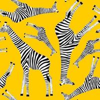 Yellow background with giraffes who want to be zebras vector