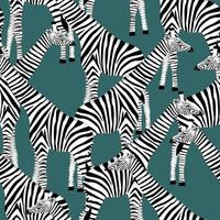 Dark blue background with giraffes who want to be zebras vector