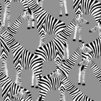 fondo gris con jirafas que quieren ser cebras vector