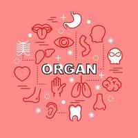 Organ minimal outline icons vector