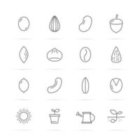 iconos de línea de vector de semillas y nueces