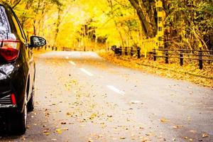 coche en la carretera en el bosque de otoño foto