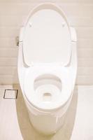 White toilet seat photo