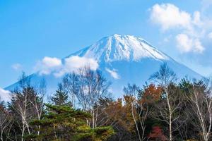 Landscape at Mt. Fuji in Japan photo