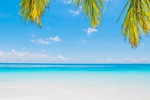 hermosa playa tropical con hojas de palmera foto