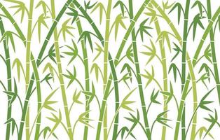 bamboo background design vector