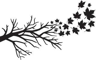 branch with falling leaves vector