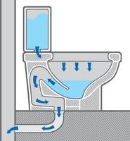 toilet bowl section vector