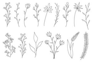 colección de elementos florales simples minimalistas. boceto gráfico. diseño de tatuaje de moda. flores, pasto y hojas. elementos naturales botánicos. ilustración vectorial. contorno, línea, estilo doodle.