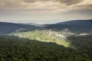 Aerial view at mountain forest on a summer day photo