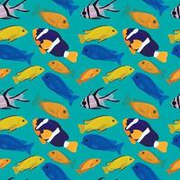 fondo transparente con peces tropicales. diseño de animales submarinos. Ilustración de dibujos animados lindo de peces de arrecife de coral. estampado marino brillante. fondo de pantalla de mar profundo vector