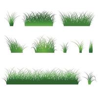 Fragment of a beautiful green grass  isolated on a white, Vector illustration