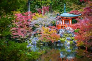 hermoso templo daigoji con coloridos árboles y hojas en la temporada de otoño foto