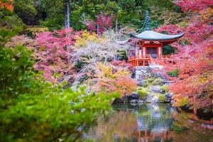 Beautiful Daigoji temple with colorful tree and leaf in autumn season photo