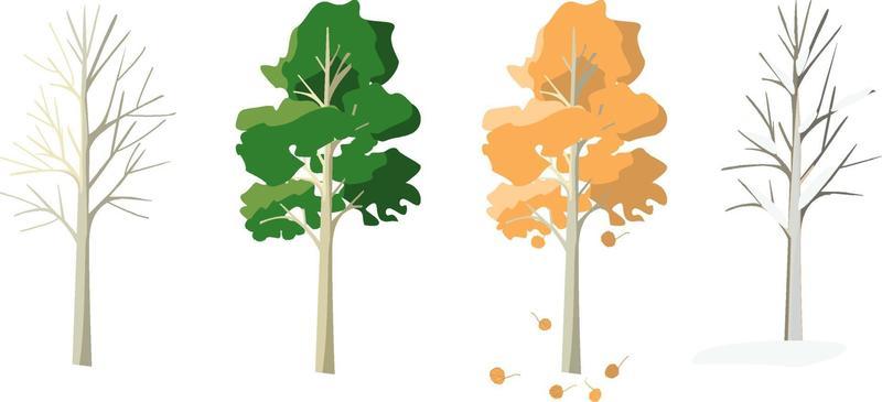 Aspen in four seasons.
