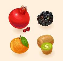 fruta aislada sobre un fondo claro. granada, mora, naranja, kiwi. conjunto de frutas. ilustración vectorial vector