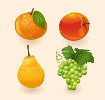 fruta aislada sobre un fondo claro. naranja, melocotón, pera, uvas. conjunto de frutas. ilustración vectorial vector