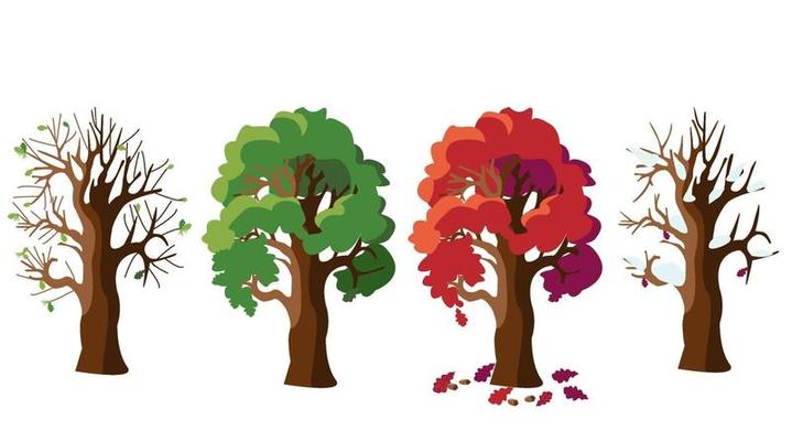 Oak tree in four versions.