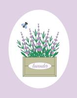Lavender flowers in a wooden box with a fly. Concept vector illustration in a flat style. Perfect for internet publications, greeting cards or printing.
