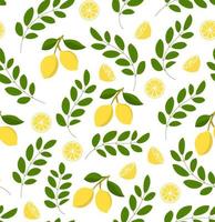 Seamless lemon pattern on white background. Vector citrus illustration. Perfect for wallpaper, background, textile, fabric, wrapping paper or flyers.