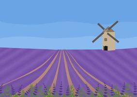 Lavender field with a windmill. Concept vector illustration. Abstract landscape.