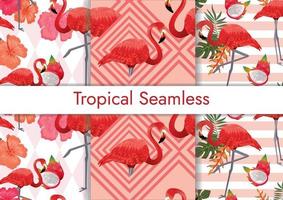 tropical seamless pattern set with flamingos