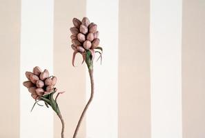 Minimalistic shot of a paper plant with pastel striped wall in the background photo