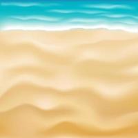real bright sea sand beach background vector