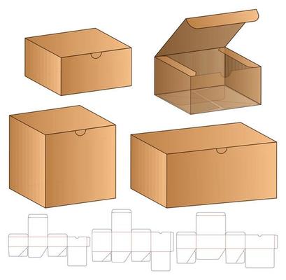 Box packaging die cut template design. 3d mock-up