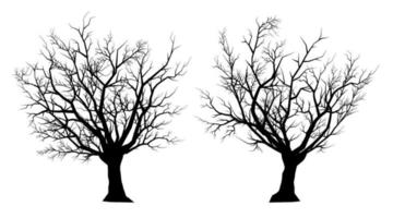 silueta de árbol muerto sobre un fondo blanco vector