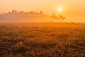 hermoso paisaje bajo el sol foto