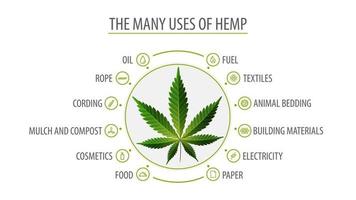 Many uses of hemp, white poster with infographic of uses of hemp and greenbush of hemp plant, top view