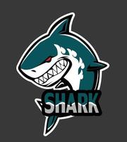 Shark icon sign logo vector
