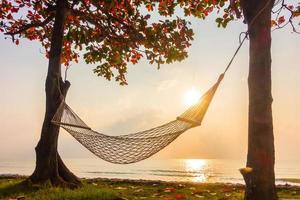 Hammock at the beach photo