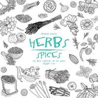 Herbs and Spices. Hand drawn vector illustration set.