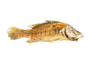 Fried fish isolated photo