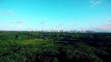 luchtbeelden van het bos en de stad op de achtergrond video