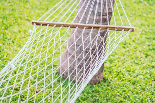 Selective focus point on hammock with green grass background - Filter effect processing photo