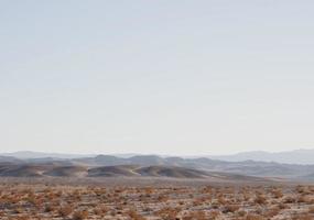 una vista del desierto de nevada foto