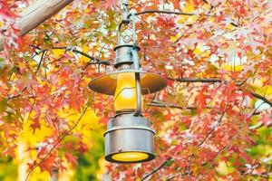 Old lantern with outdoor view in autum season photo