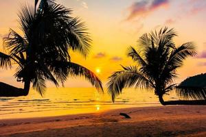 Coconut palm trees at the sea photo